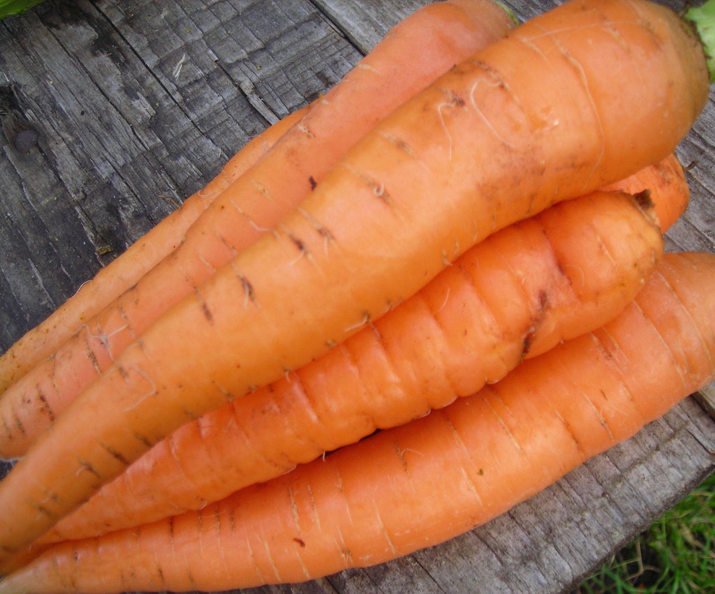 Carrots - 2kg for $7 Promo