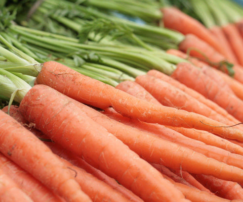 Carrots, Dutch