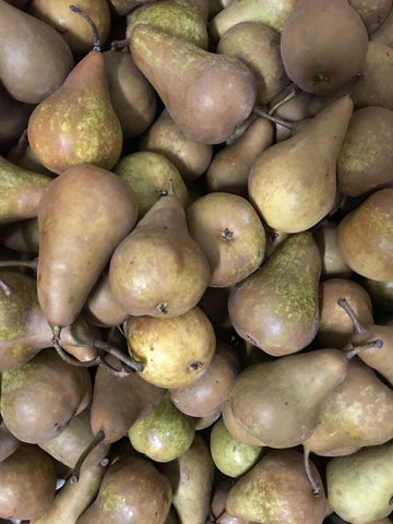 Pears, Buerre Bosc
