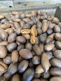 Pecans in the Shell - 500g