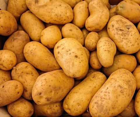 Potatoes, Sebago