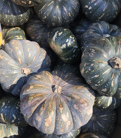Pumpkin, Kent/Japanese