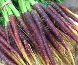 Carrots, Dutch Purple